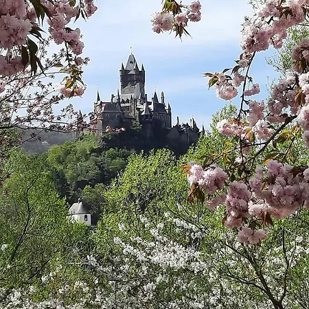 Am Fuhrweg * Cochem